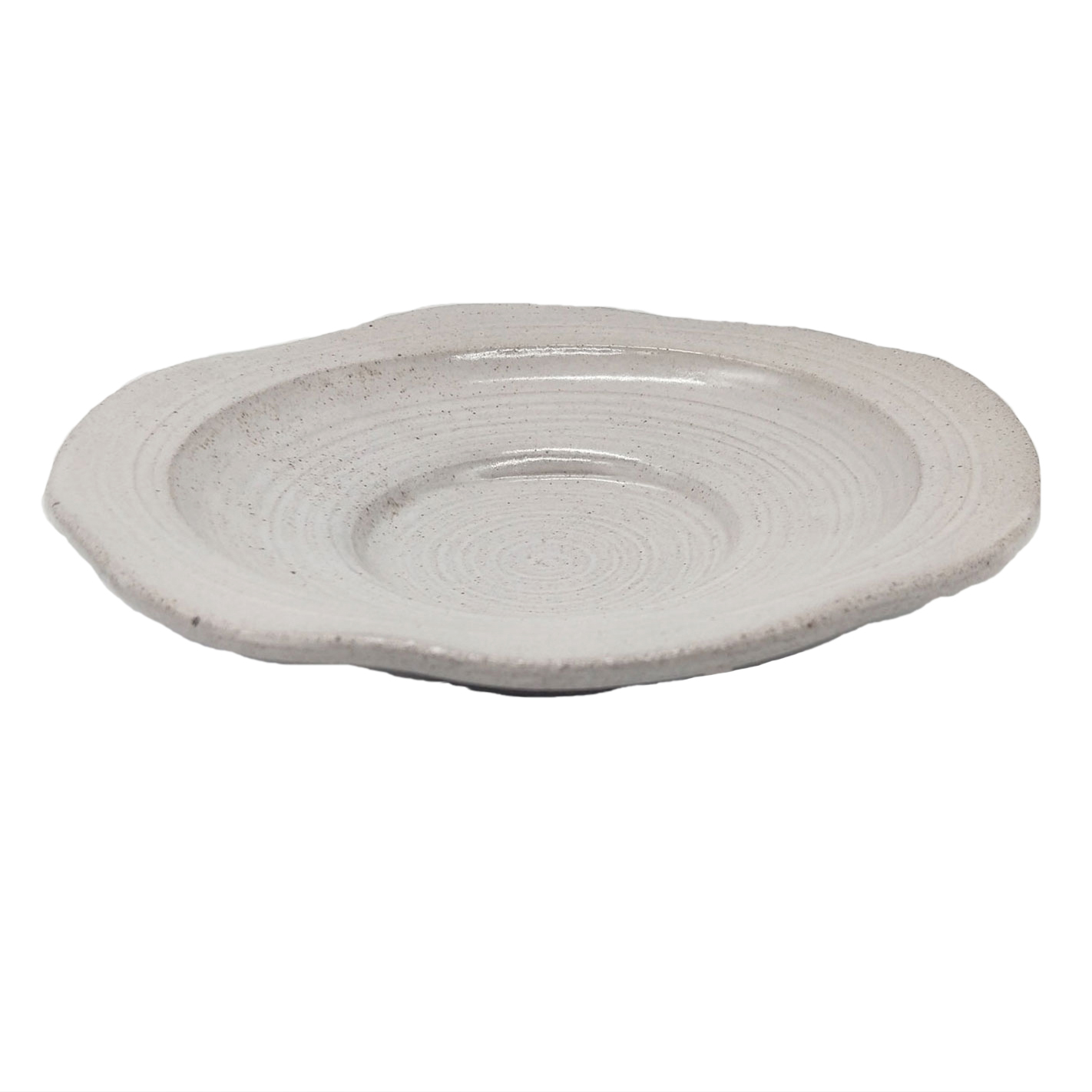 Porcelain Snake  Plate